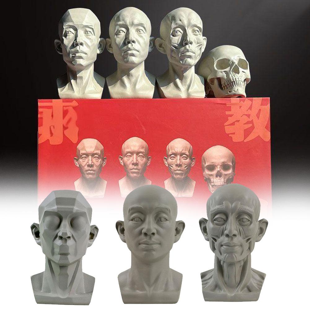 Resin Art Learning - Arte gesso ritratto sussidi didattici simulazione