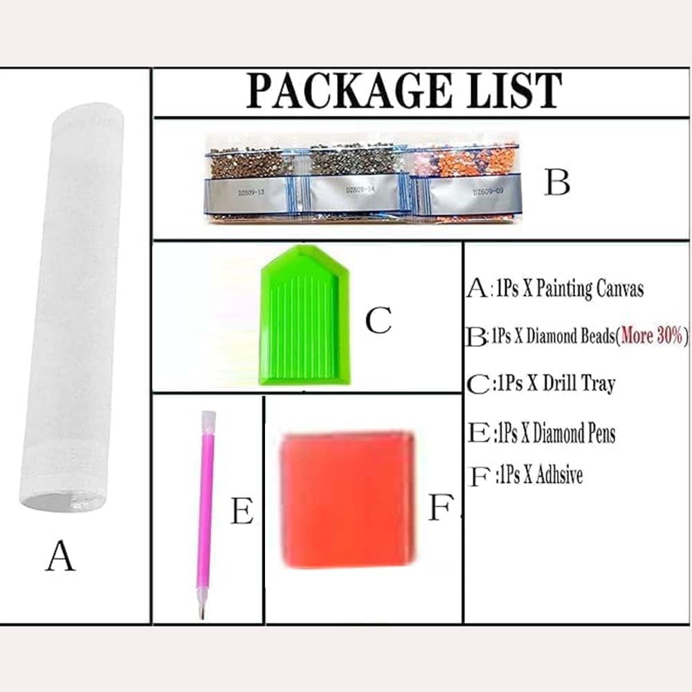 Kit di Pittura Diamantata con  - Resin Art For Beginner recensione e prezzo