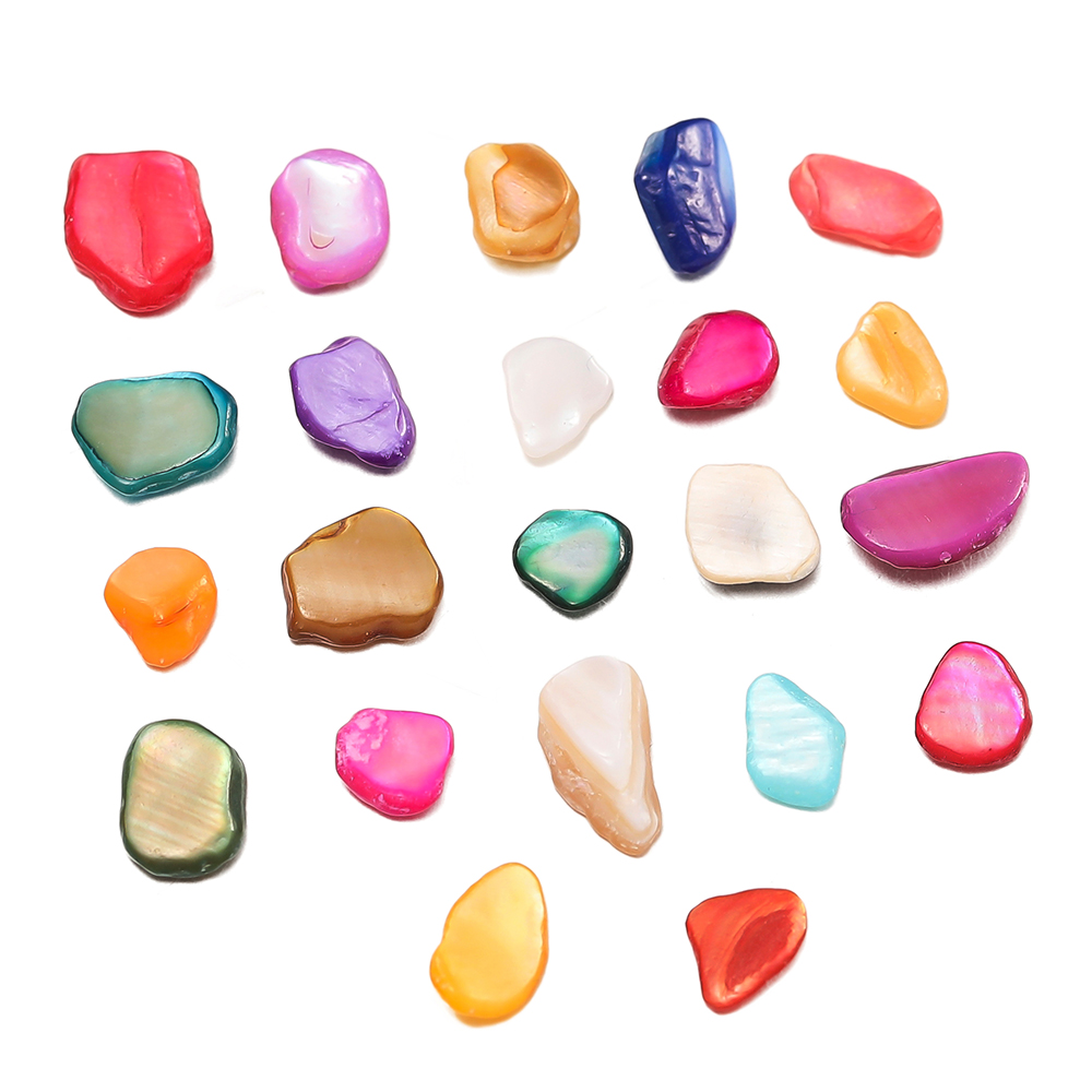 20g 50g Frammenti di conchigli - Resin Art Stone recensione e prezzo